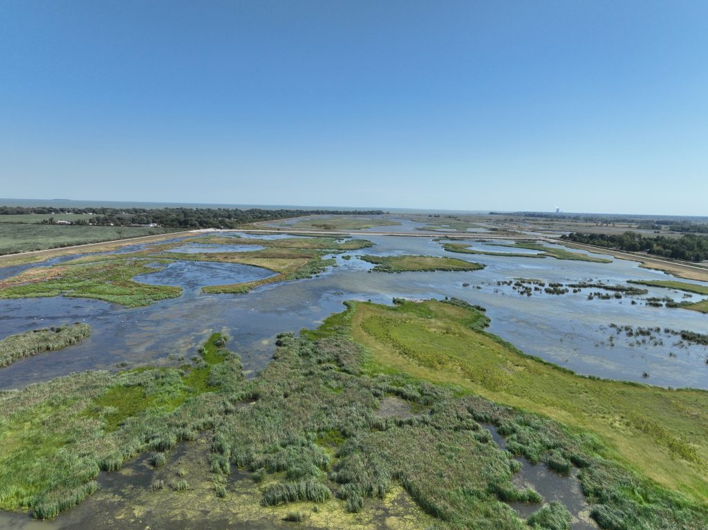 An aerial view of a marsh.